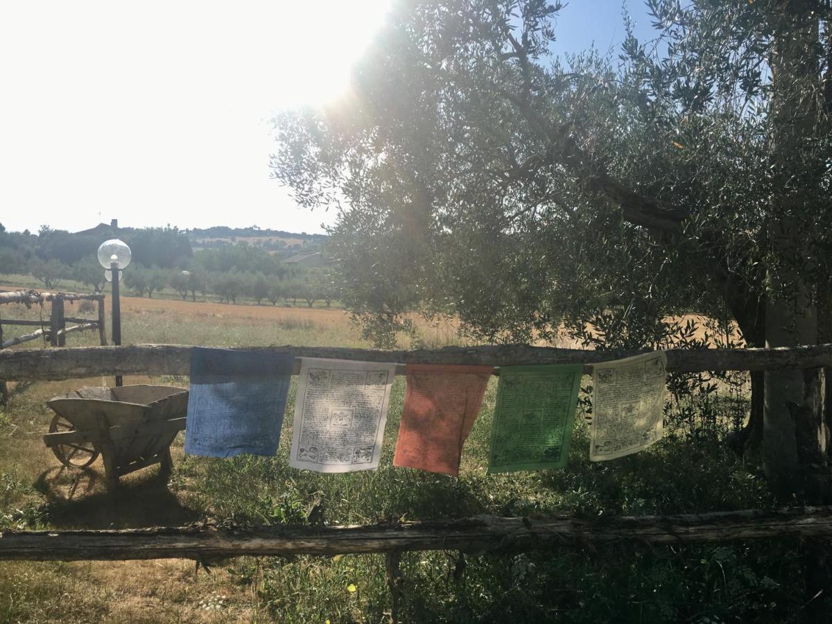 La Goiaba B&B Senigallia Esterno foto