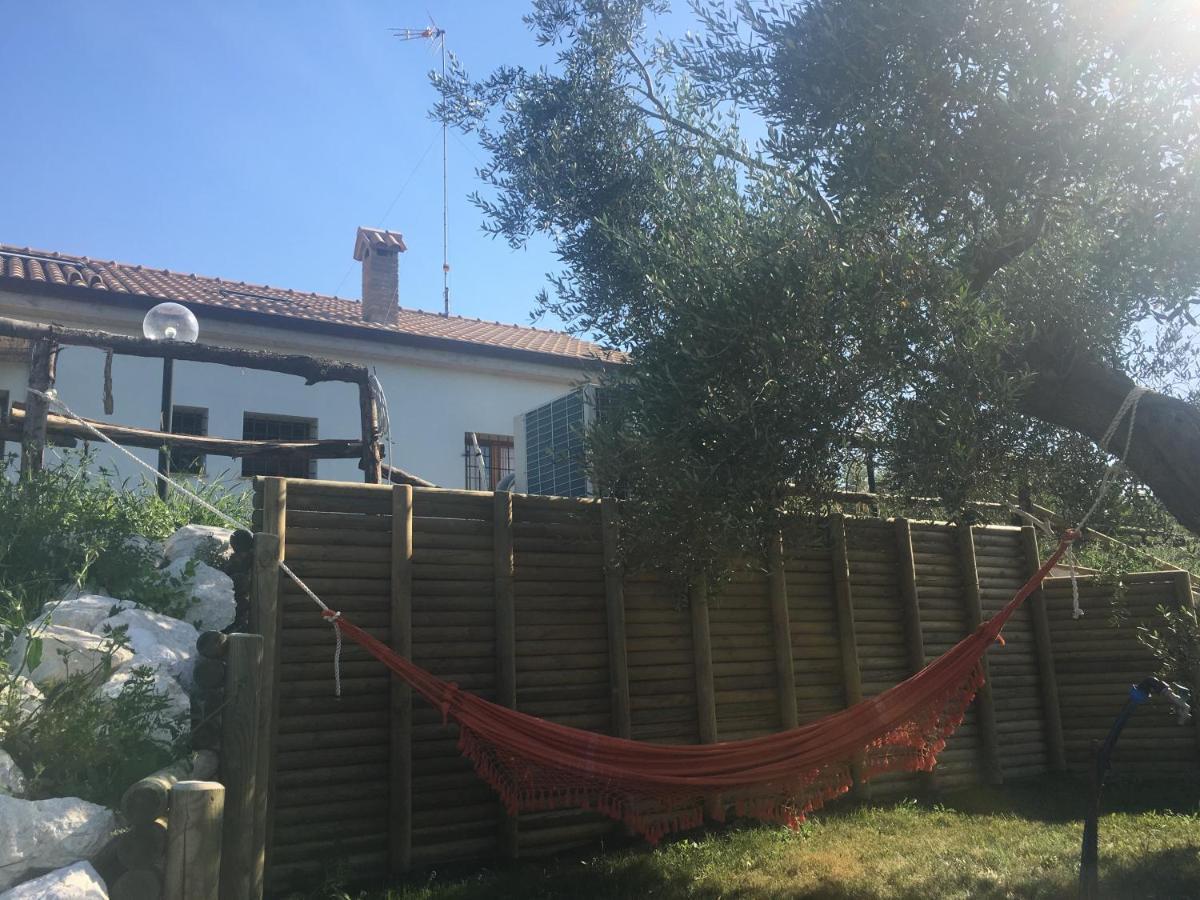 La Goiaba B&B Senigallia Esterno foto