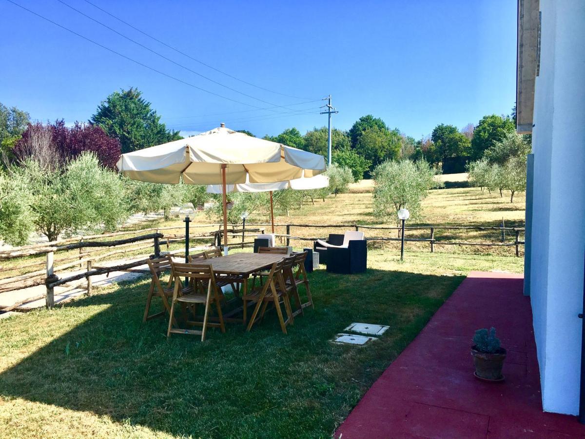 La Goiaba B&B Senigallia Esterno foto