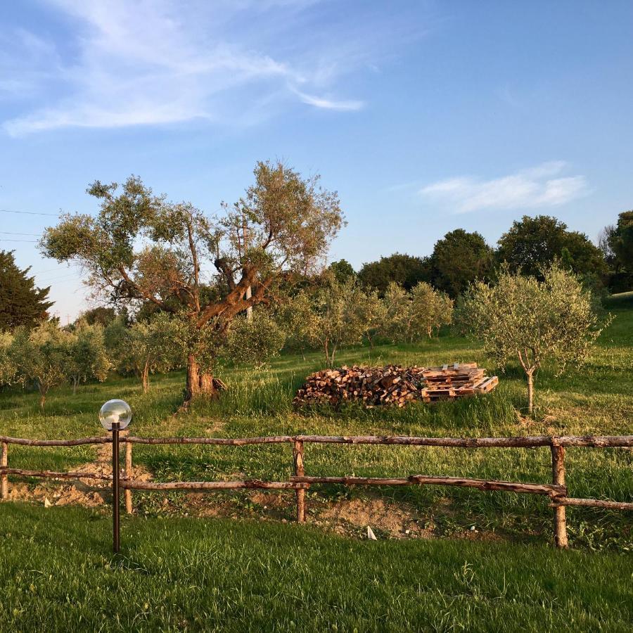 La Goiaba B&B Senigallia Esterno foto