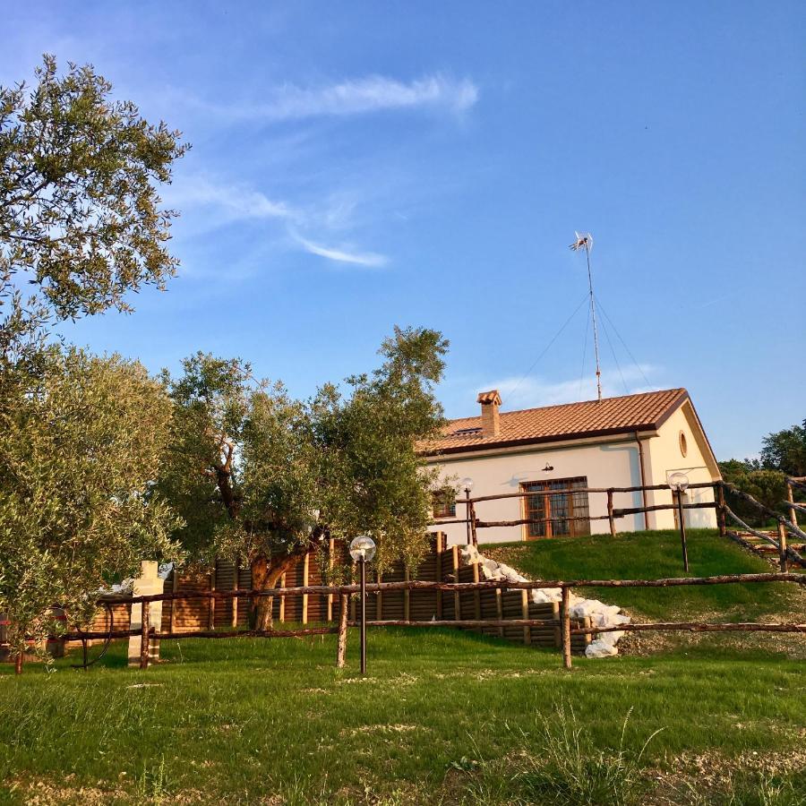 La Goiaba B&B Senigallia Esterno foto