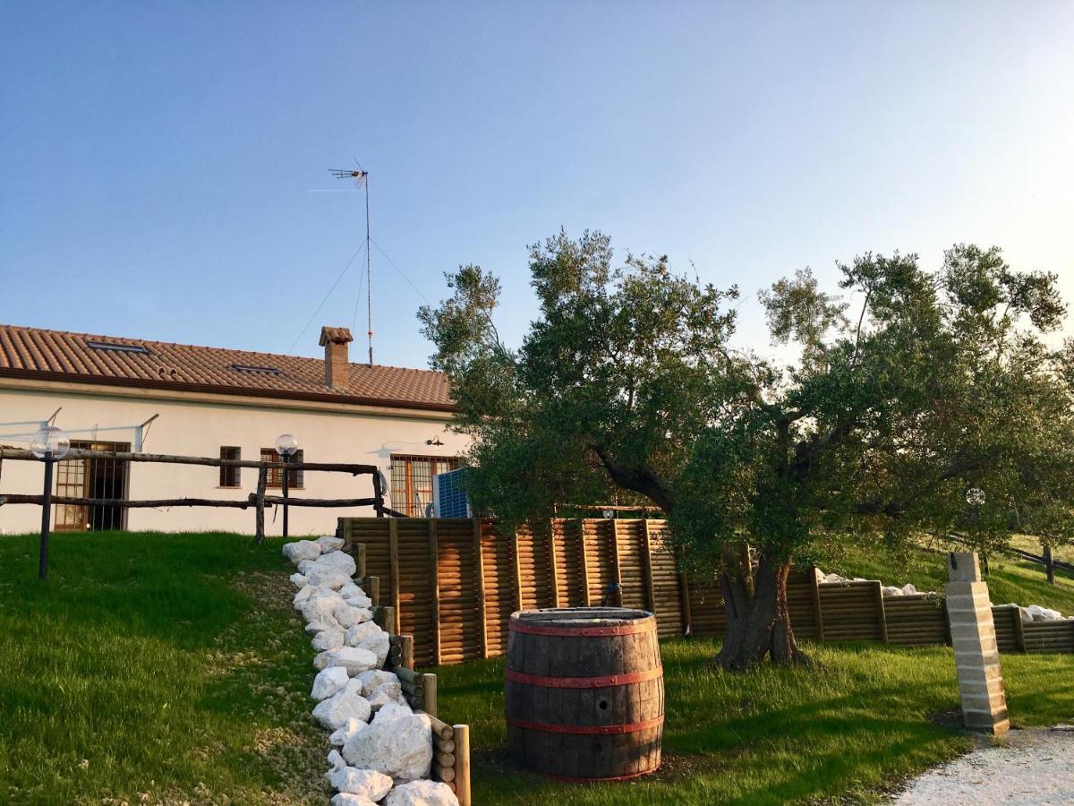 La Goiaba B&B Senigallia Esterno foto